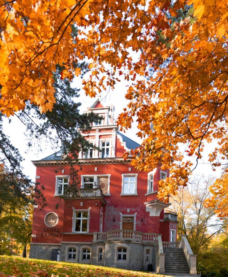 Hotel Debowy Biowellness & Spa Gory Sowie Бєлява Екстер'єр фото